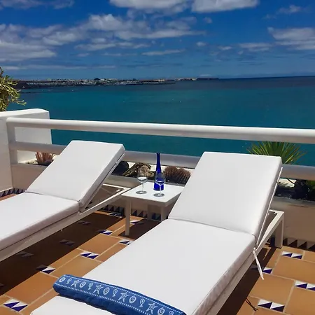 Caballito De Mar Seahorse