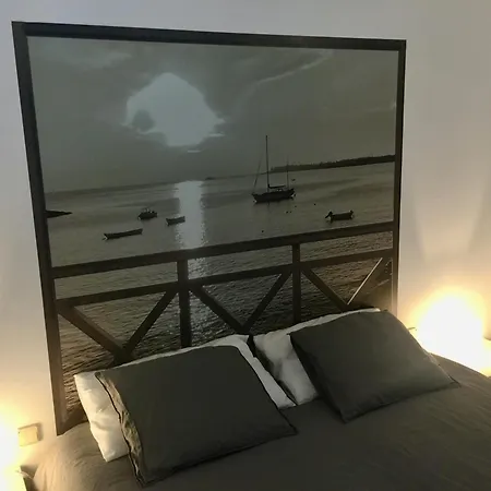 Caballito De Mar Seahorse